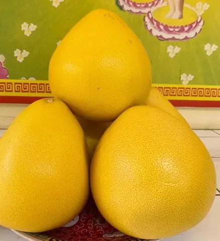 Bưởi Da Vàng Giá Rẽ