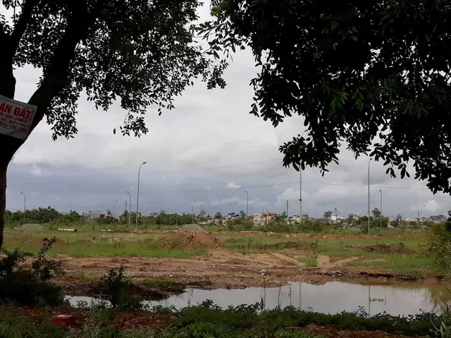 Đất Vàng Giá Bèo