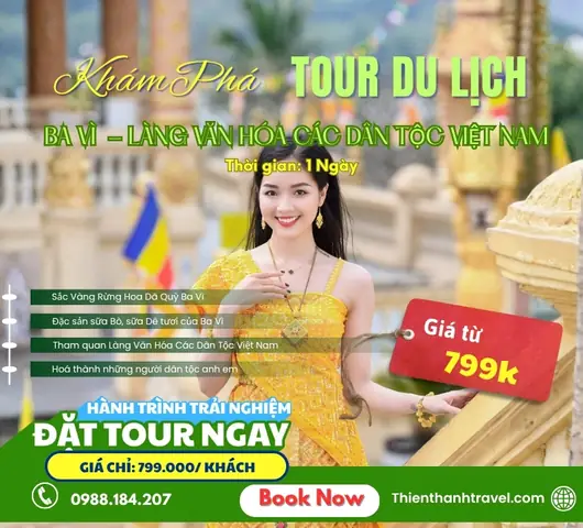 Giá 1 Quỳ Vàng Giá 1 Quỳ Vàng