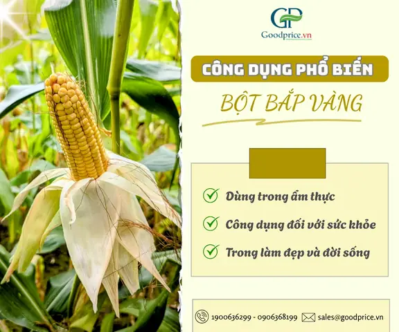 Giá Bột Bắp Vàng Giá Bột Bắp Vàng