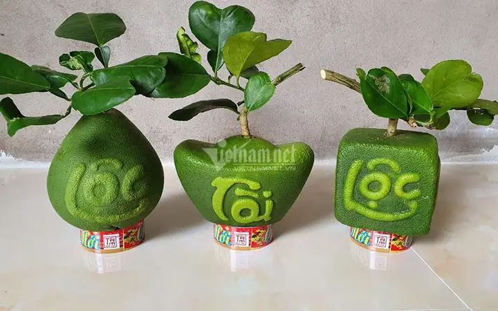 Giá Bưởi Thỏi Vàng