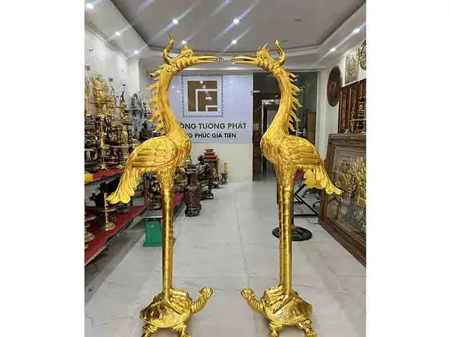 Giá Cao Rùa Vàng Giá Cao Rùa Vàng