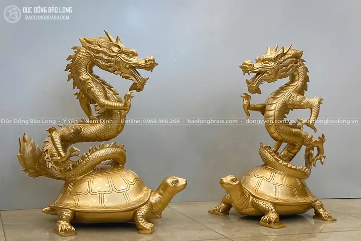 Giá Cao Rùa Vàng Giá Cao Rùa Vàng