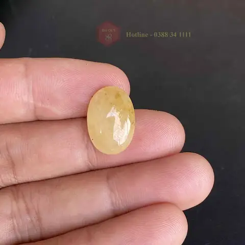 Giá Đá Saphia Vàng Giá Đá Saphia Vàng