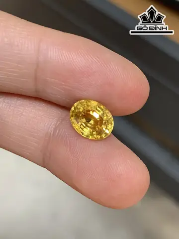 Giá Đá Saphia Vàng Giá Đá Saphia Vàng