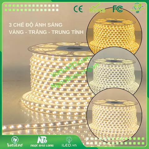 Giá Dây Đèn Led Vàng
