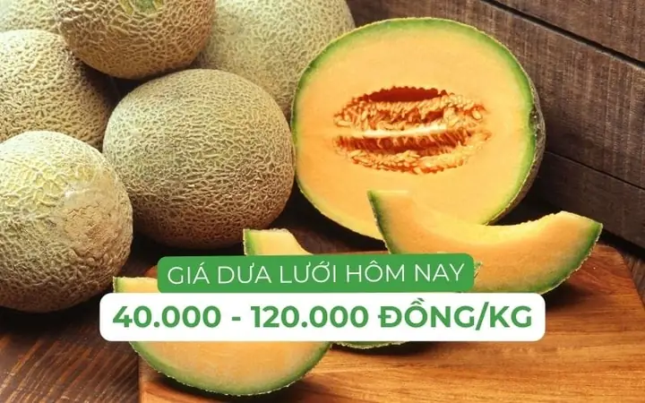 Giá Dưa Vàng Mỹ Giá Dưa Vàng Mỹ