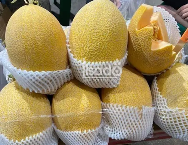 Giá Dưa Vàng Mỹ Giá Dưa Vàng Mỹ