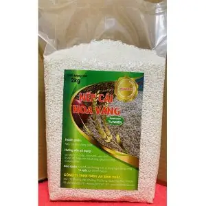 Giá Gạo Nếp Cái Hoa Vàng Giá Gạo Nếp Cái Hoa Vàng