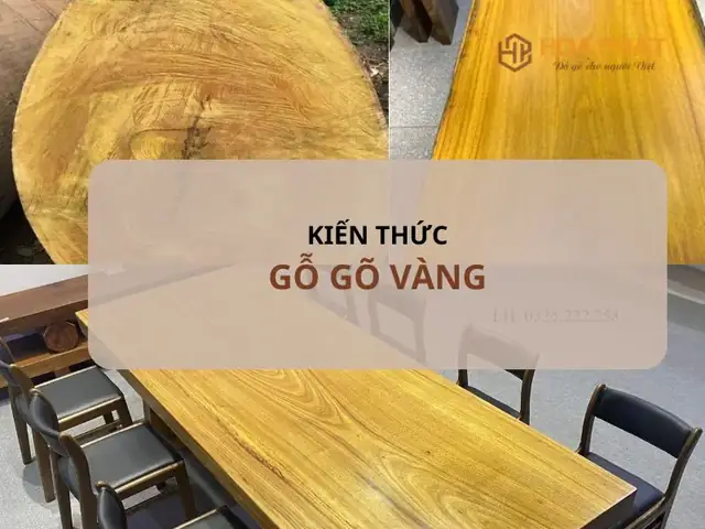 Giá Gỗ Gõ Vàng Giá Gỗ Gõ Vàng