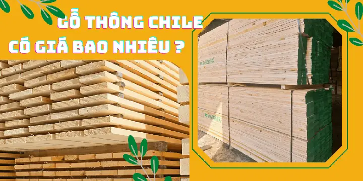 Giá Gỗ Thông Vàng Giá Gỗ Thông Vàng