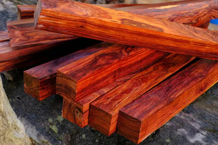 Giá Gỗ Trắc Vàng Giá Gỗ Trắc Vàng