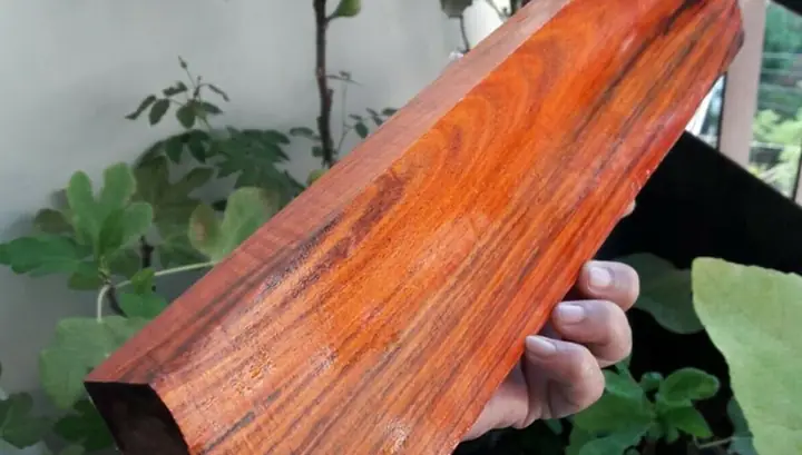 Giá Gỗ Trắc Vàng Giá Gỗ Trắc Vàng
