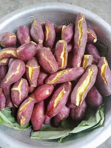 Giá Khoai Lang Ruột Vàng Giá Khoai Lang Ruột Vàng