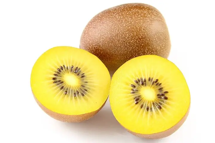 Giá Kiwi Vàng Pháp
