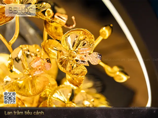 Giá Lan Trầm Vàng Giá Lan Trầm Vàng