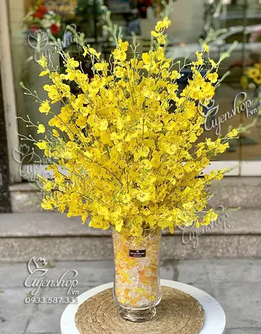 Giá Lan Vũ Nữ Vàng