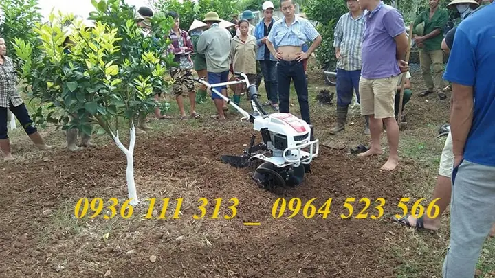 Giá Máy Xới Đất Trâu Vàng Giá Máy Xới Đất Trâu Vàng