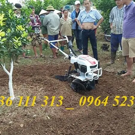 Giá Máy Xới Đất Trâu Vàng Giá Máy Xới Đất Trâu Vàng