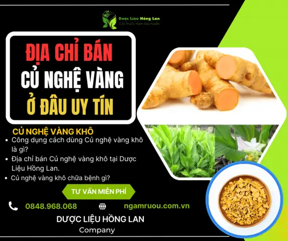 Giá Nghệ Vàng Khô Giá Nghệ Vàng Khô