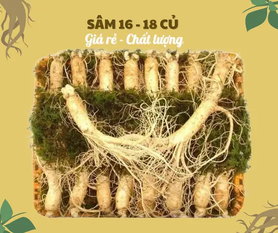 Giá Săm Sao Vàng Giá Săm Sao Vàng