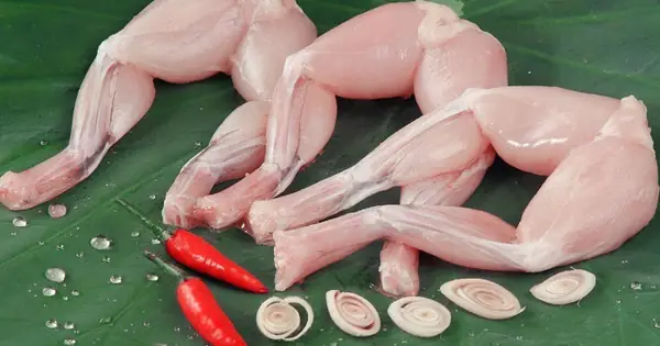 Giá Thịt Cóc Vàng