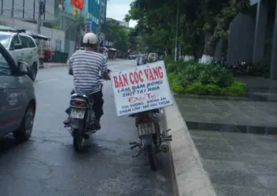 Giá Thịt Cóc Vàng Giá Thịt Cóc Vàng