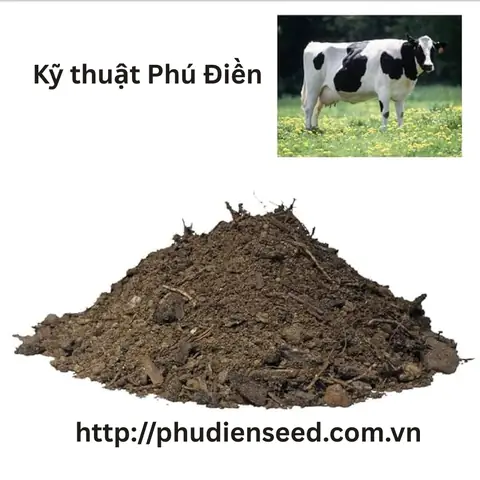 Giá Trị Vàng Đen Giá Trị Vàng Đen