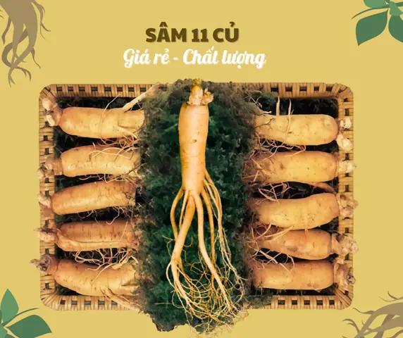 Giá Vàng 6 Tuổi