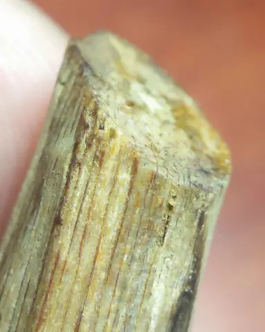 Giá Vàng Bạch Ki