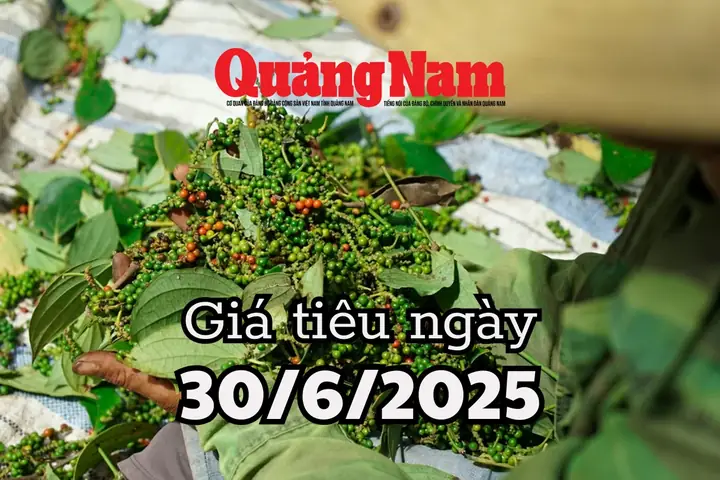 Giá Vàng Đắk Lắk Hôm Nay