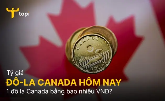 Giá Vàng Do Canada Giá Vàng Do Canada