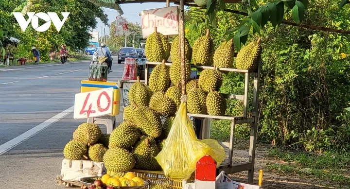 Giá Vàng Hậu Giang Giá Vàng Hậu Giang