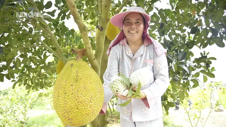Giá Vàng Kiên Giang Giá Vàng Kiên Giang