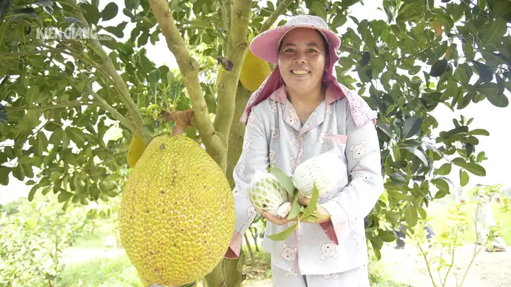 Giá Vàng Kiên Giang