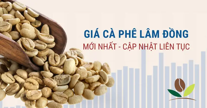 Giá Vàng Lâm Đồng Hôm Nay