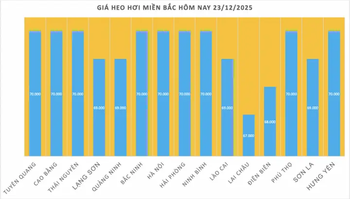 Giá Vàng Miền Bắc Hôm Nay