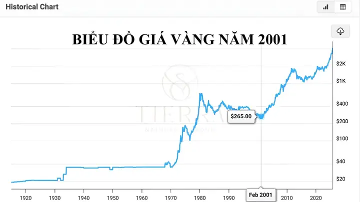 Giá Vàng Sjc 2001 Giá Vàng Sjc 2001