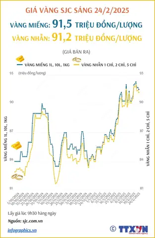 Giá Vàng Sjc 24/2 Giá Vàng Sjc 24/2