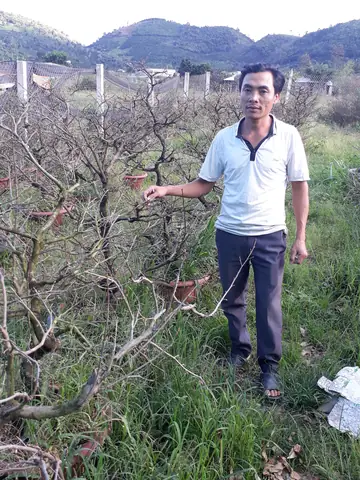 Giá Vàng Tân Tiến Giá Vàng Tân Tiến