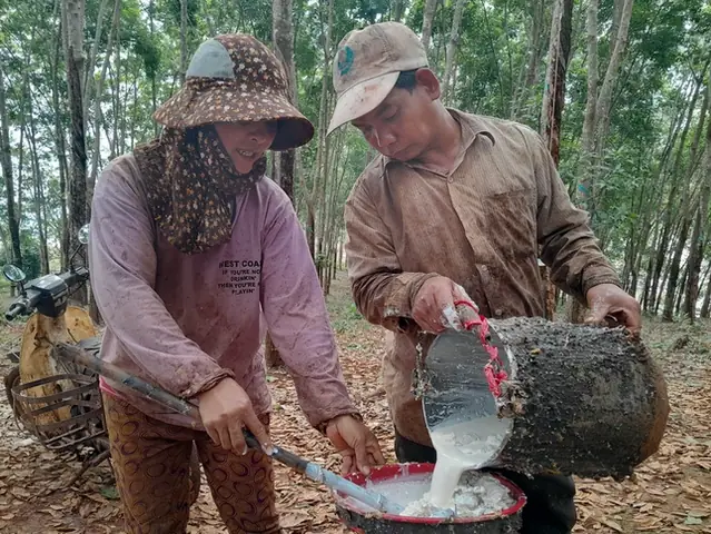 Giá Vàng Trắng Vietnam Giá Vàng Trắng Vietnam