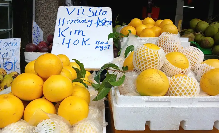 Giá Vú Sữa Vàng