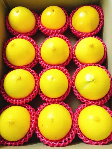 Giá Vú Sữa Vàng