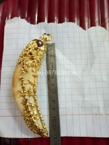 Nanh Hổ Bọc Vàng Giá Bao Nhiêu