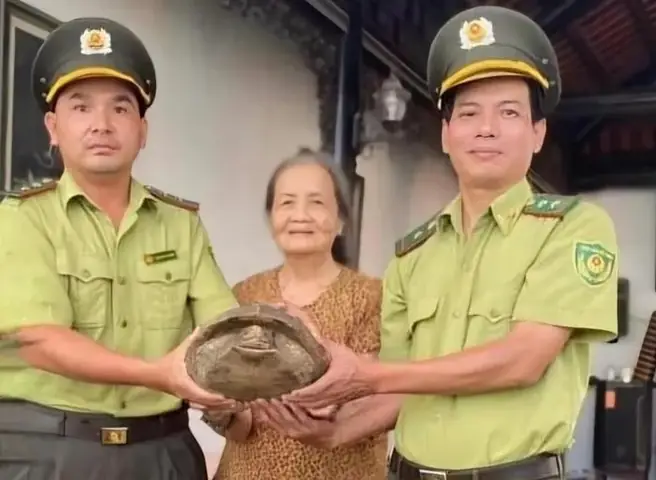 Rùa Sen Vàng Giá Bao Nhiêu Rùa Sen Vàng Giá Bao Nhiêu