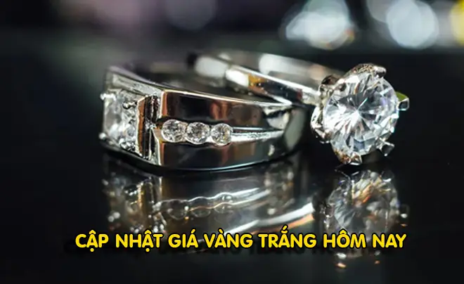 Tỷ Giá Vàng Trắng Tỷ Giá Vàng Trắng