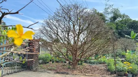 Vàng Nghĩa Tín Tỉ Giá