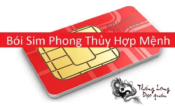 Bói Sim Phong Thủy Khoa Học Tử Vi