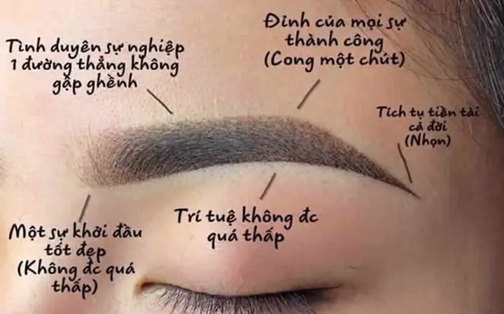 Các Kiểu Chân Mày Phong Thủy