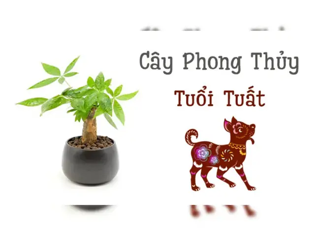 Các Loại Cây Phong Thủy Hợp Tuổi